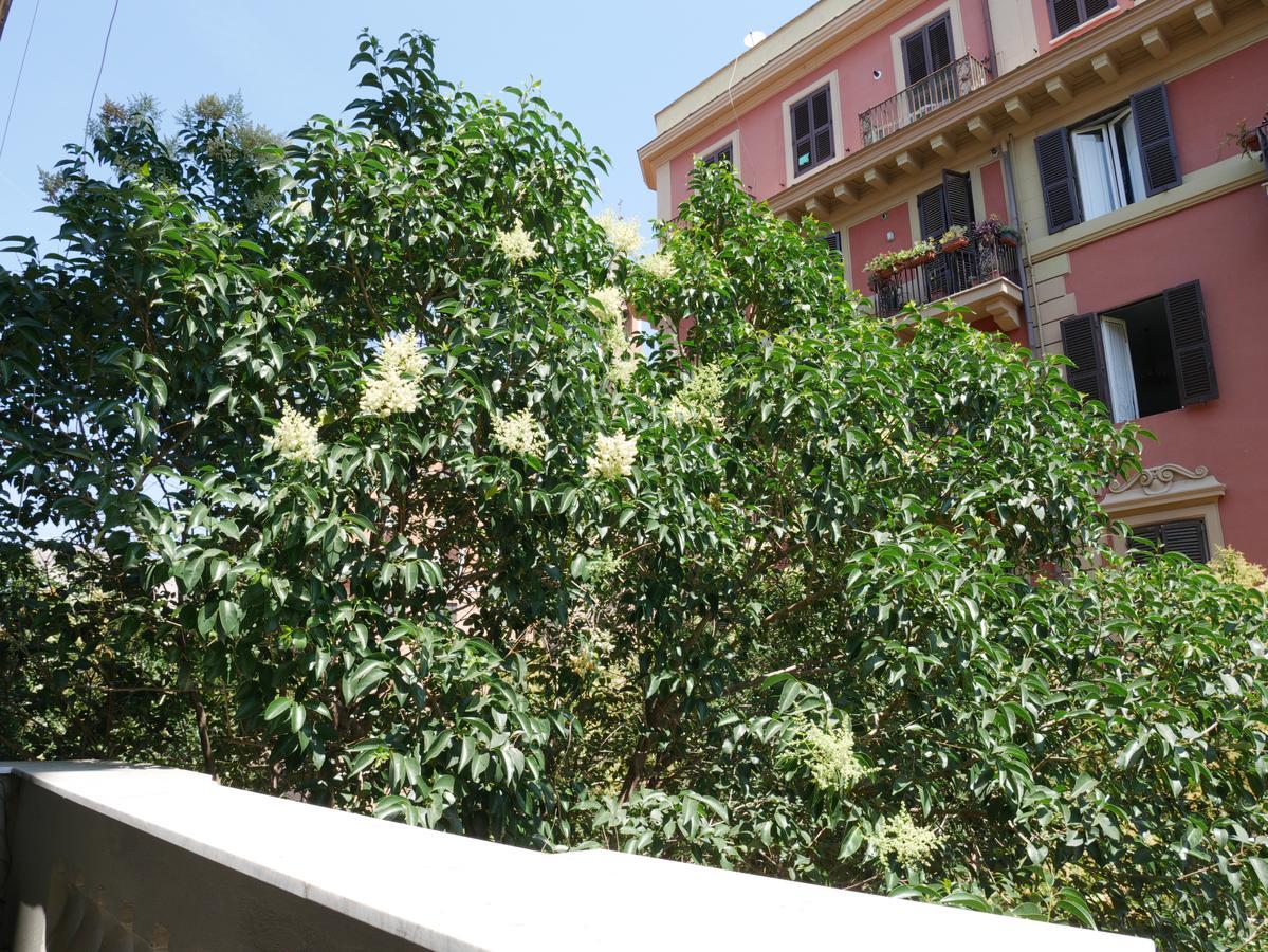 Nori Guest House — Photos 3